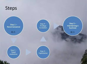 網(wǎng)絡(luò)安全實(shí)戰(zhàn) 從滲透測試到軟件開發(fā)的全方位能力提升